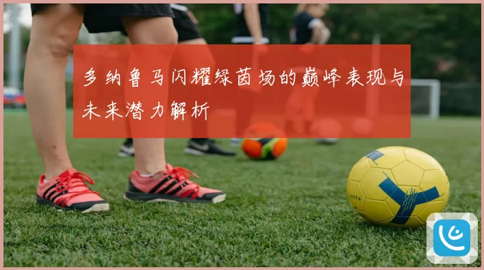 多纳鲁马闪耀绿茵场的巅峰表现与未来潜力解析