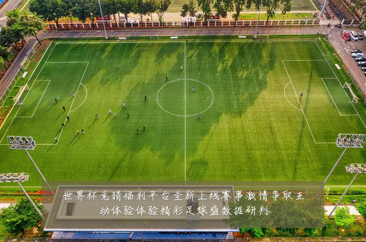 世界杯竞猜福利平台全新上线赛事激情争取互动体验体验精彩足球盛数据研判